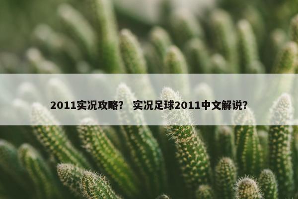 2011实况攻略？ 实况足球2011中文解说？