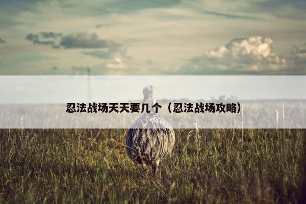 忍法战场天天要几个（忍法战场攻略）