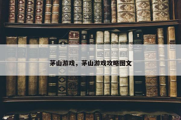 茅山游戏，茅山游戏攻略图文