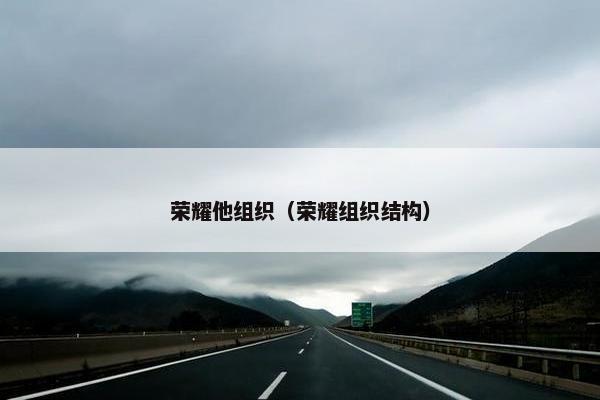 荣耀他组织（荣耀组织结构）