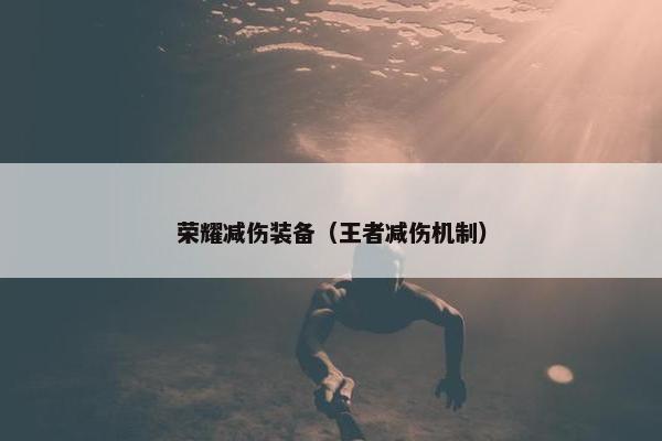 荣耀减伤装备（王者减伤机制）