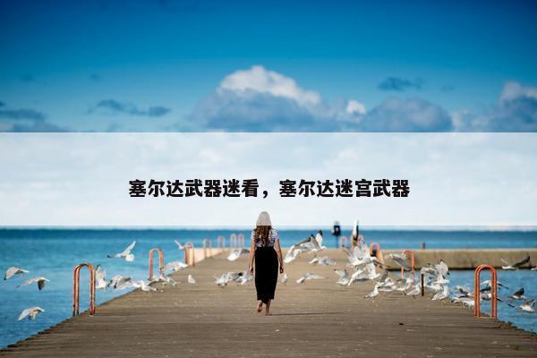 塞尔达武器迷看，塞尔达迷宫武器