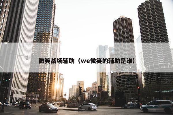 微笑战场辅助（we微笑的辅助是谁）