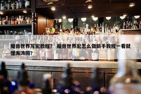 魔兽世界写宏教程？ 魔兽世界宏怎么做新手教程一看就懂海涛网？