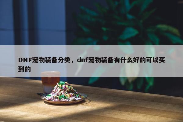 DNF宠物装备分类，dnf宠物装备有什么好的可以买到的