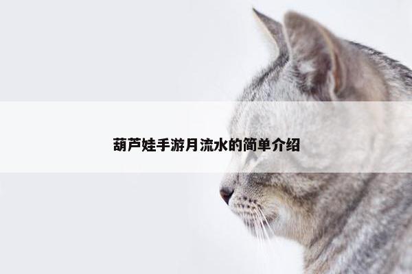 葫芦娃手游月流水的简单介绍