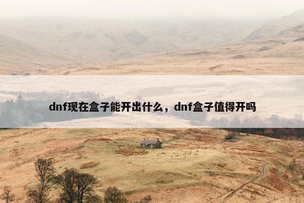dnf现在盒子能开出什么，dnf盒子值得开吗