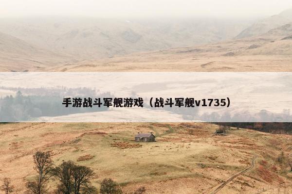 手游战斗军舰游戏（战斗军舰v1735）