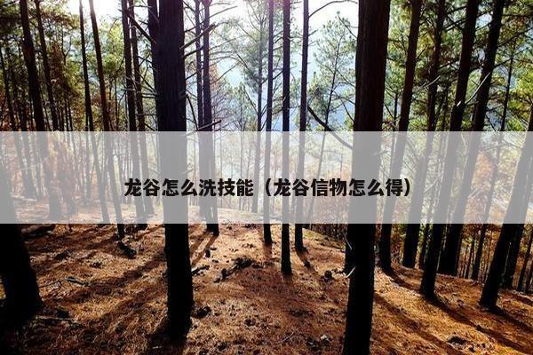 龙谷怎么洗技能（龙谷信物怎么得）