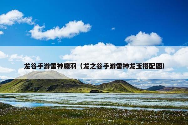 龙谷手游雷神魔羽（龙之谷手游雷神龙玉搭配图）