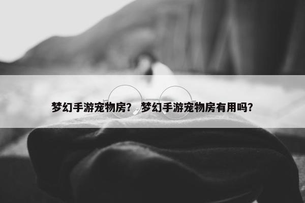 梦幻手游宠物房？ 梦幻手游宠物房有用吗？
