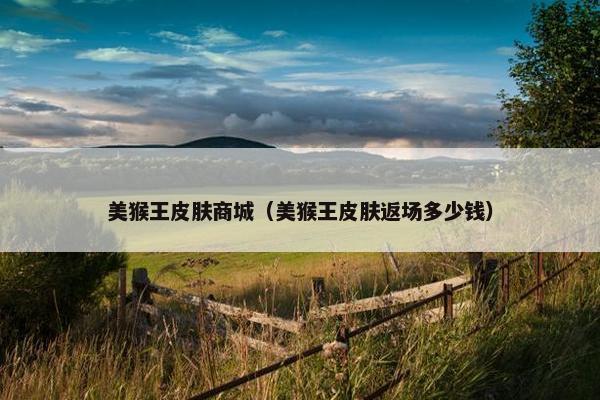 美猴王皮肤商城（美猴王皮肤返场多少钱）