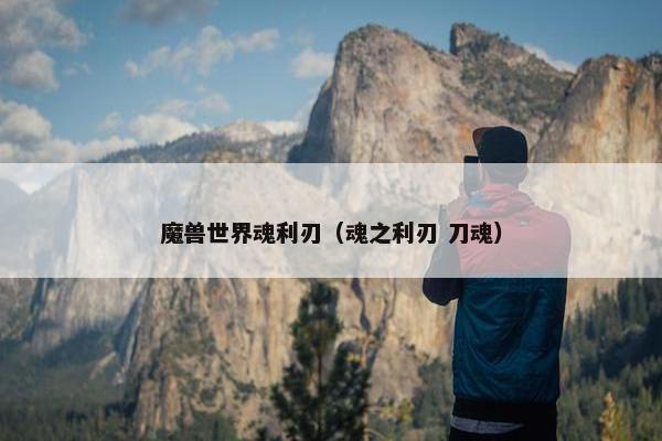 魔兽世界魂利刃（魂之利刃 刀魂）