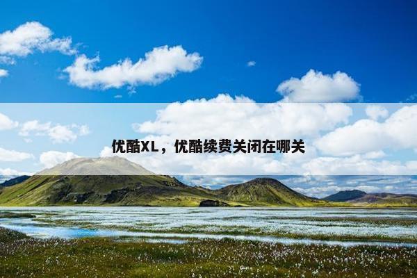 优酷XL，优酷续费关闭在哪关
