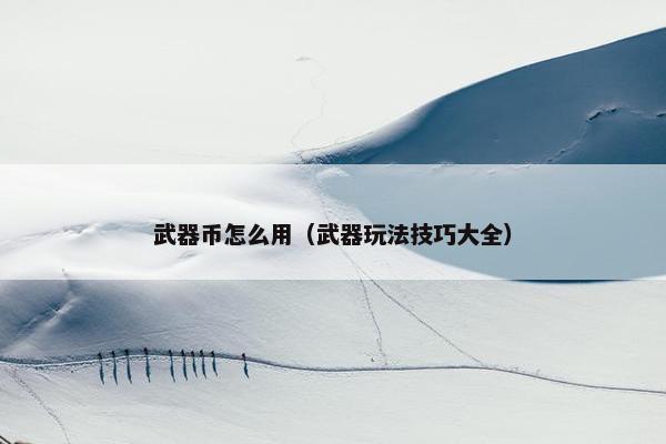 武器币怎么用（武器玩法技巧大全）