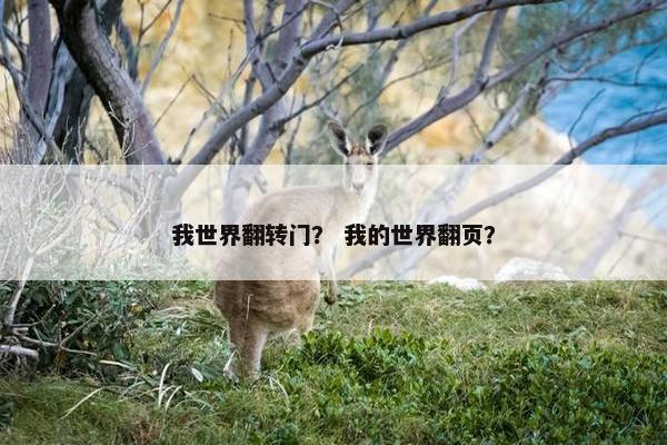 我世界翻转门？ 我的世界翻页？