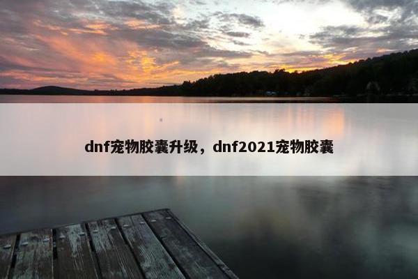 dnf宠物胶囊升级，dnf2021宠物胶囊