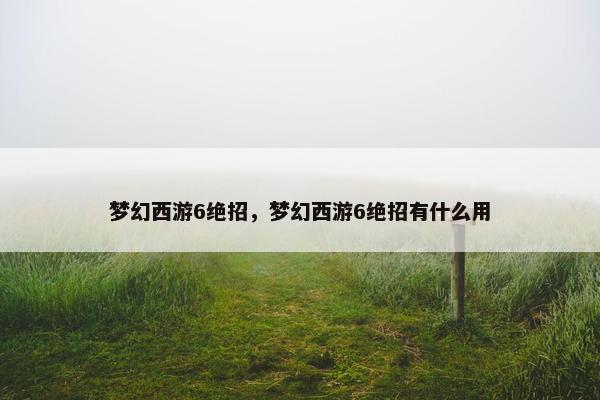 梦幻西游6绝招，梦幻西游6绝招有什么用