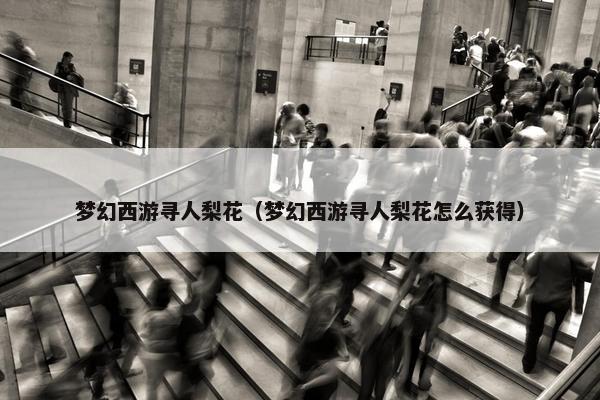 梦幻西游寻人梨花（梦幻西游寻人梨花怎么获得）