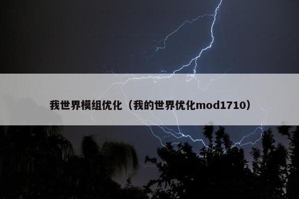 我世界模组优化（我的世界优化mod1710）