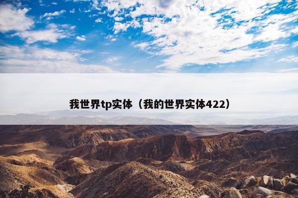 我世界tp实体（我的世界实体422）