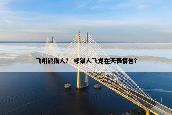 飞翔熊猫人？ 熊猫人飞龙在天表情包？