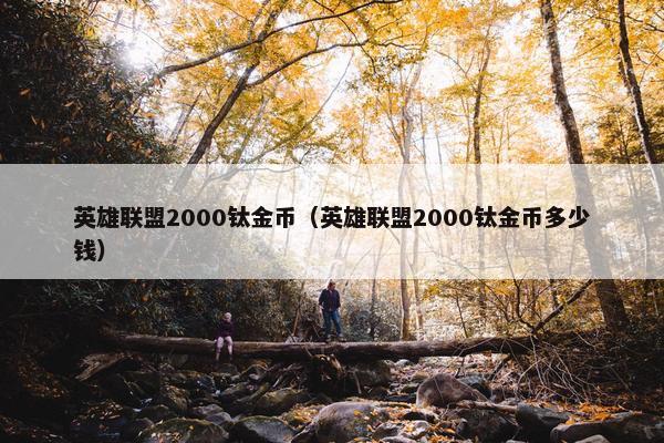 英雄联盟2000钛金币（英雄联盟2000钛金币多少钱）