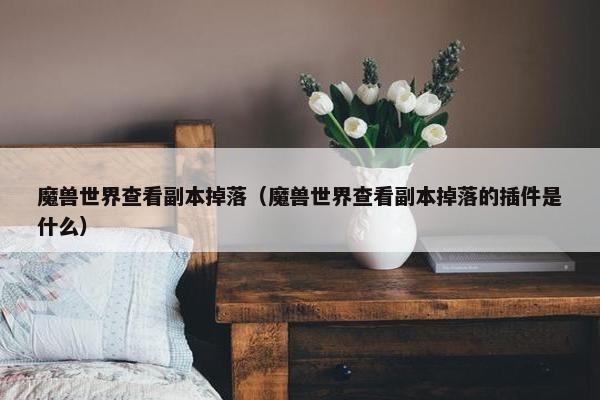 魔兽世界查看副本掉落（魔兽世界查看副本掉落的插件是什么）