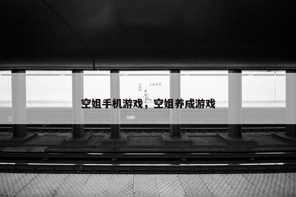 空姐手机游戏，空姐养成游戏