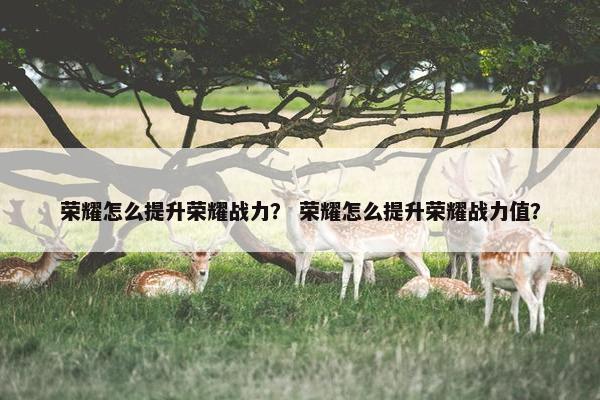 荣耀怎么提升荣耀战力？ 荣耀怎么提升荣耀战力值？