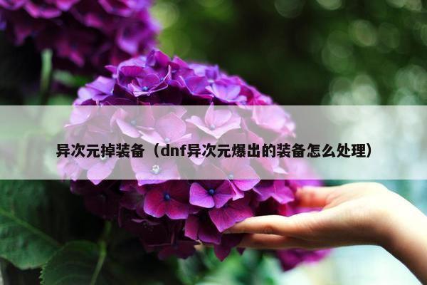 异次元掉装备（dnf异次元爆出的装备怎么处理）