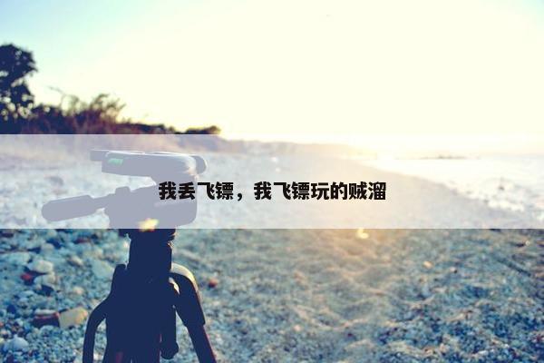 我丢飞镖，我飞镖玩的贼溜