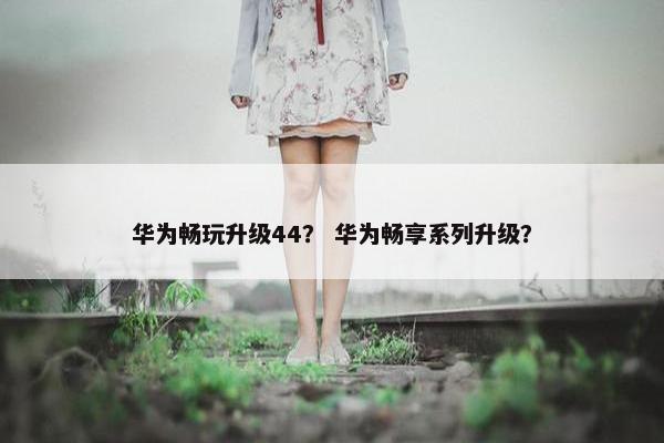 华为畅玩升级44？ 华为畅享系列升级？