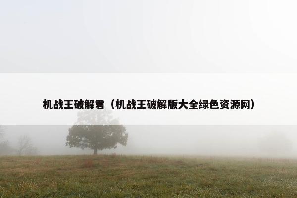 机战王破解君（机战王破解版大全绿色资源网）