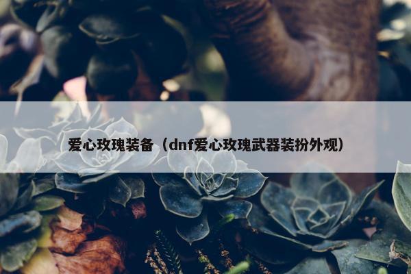 爱心玫瑰装备（dnf爱心玫瑰武器装扮外观）