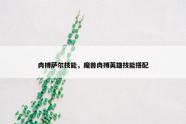 肉搏萨尔技能，魔兽肉搏英雄技能搭配