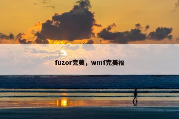 fuzor完美，wmf完美福