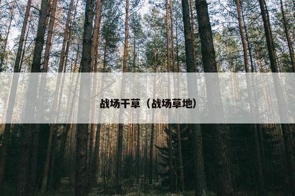 战场干草（战场草地）