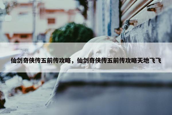 仙剑奇侠传五前传攻略，仙剑奇侠传五前传攻略天地飞飞