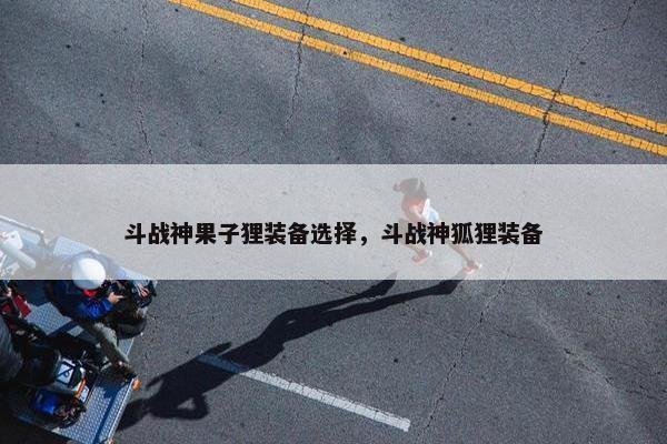 斗战神果子狸装备选择，斗战神狐狸装备