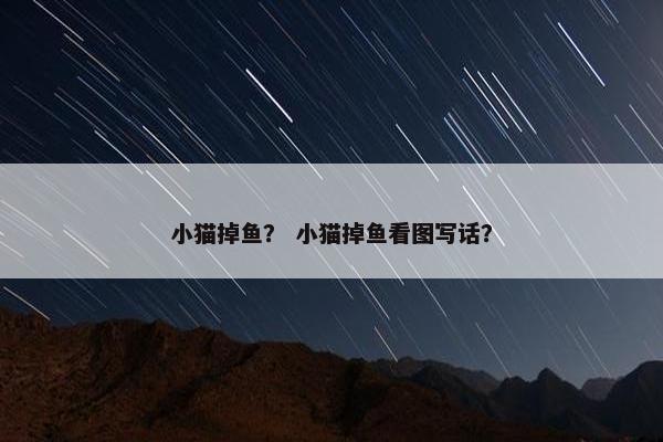 小猫掉鱼？ 小猫掉鱼看图写话？