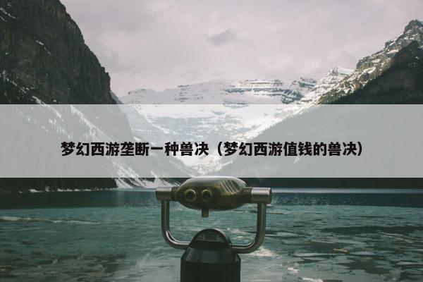 梦幻西游垄断一种兽决（梦幻西游值钱的兽决）