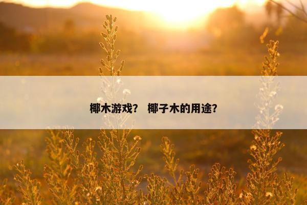 椰木游戏？ 椰子木的用途？
