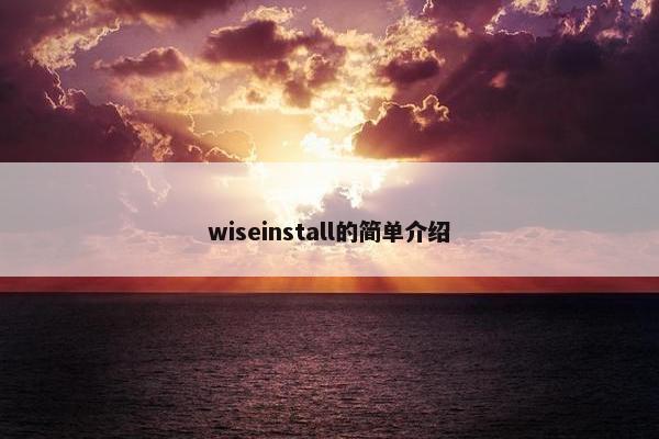 wiseinstall的简单介绍