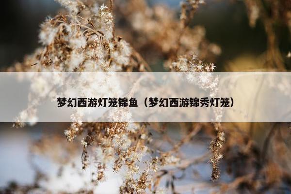 梦幻西游灯笼锦鱼（梦幻西游锦秀灯笼）