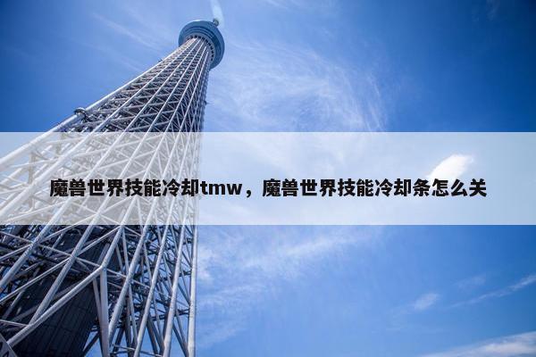 魔兽世界技能冷却tmw，魔兽世界技能冷却条怎么关