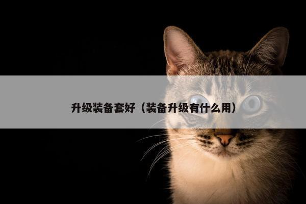 升级装备套好（装备升级有什么用）