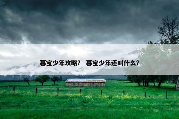 暮宝少年攻略？ 暮宝少年还叫什么？