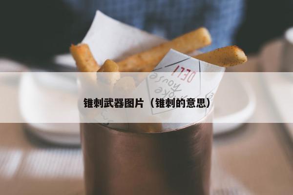 锥刺武器图片（锥刺的意思）