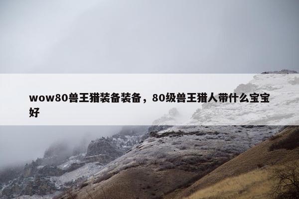 wow80兽王猎装备装备，80级兽王猎人带什么宝宝好